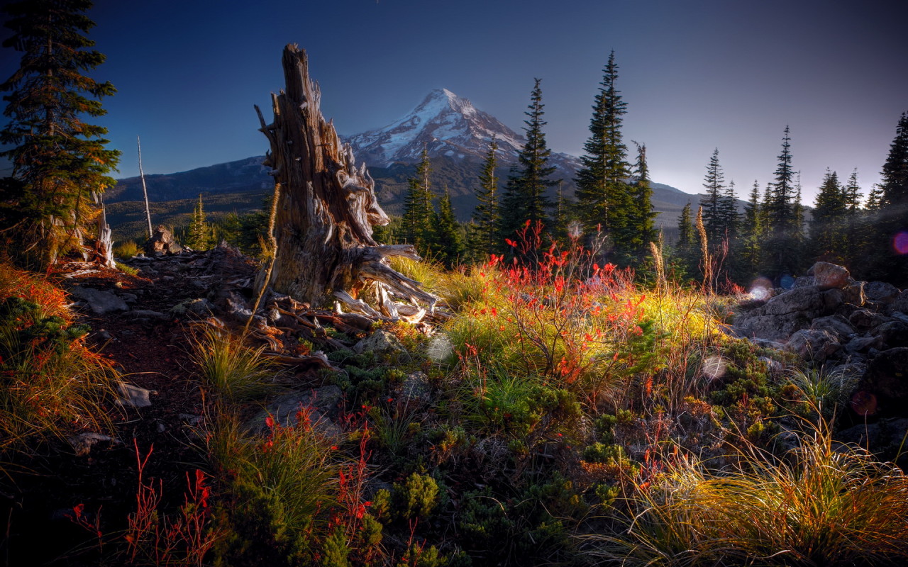 Гора на горизонте