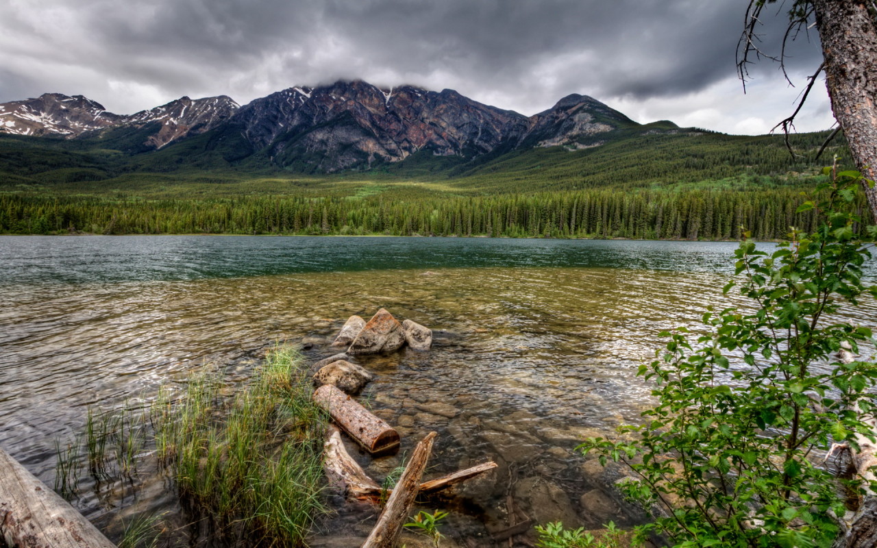 Каменистая река