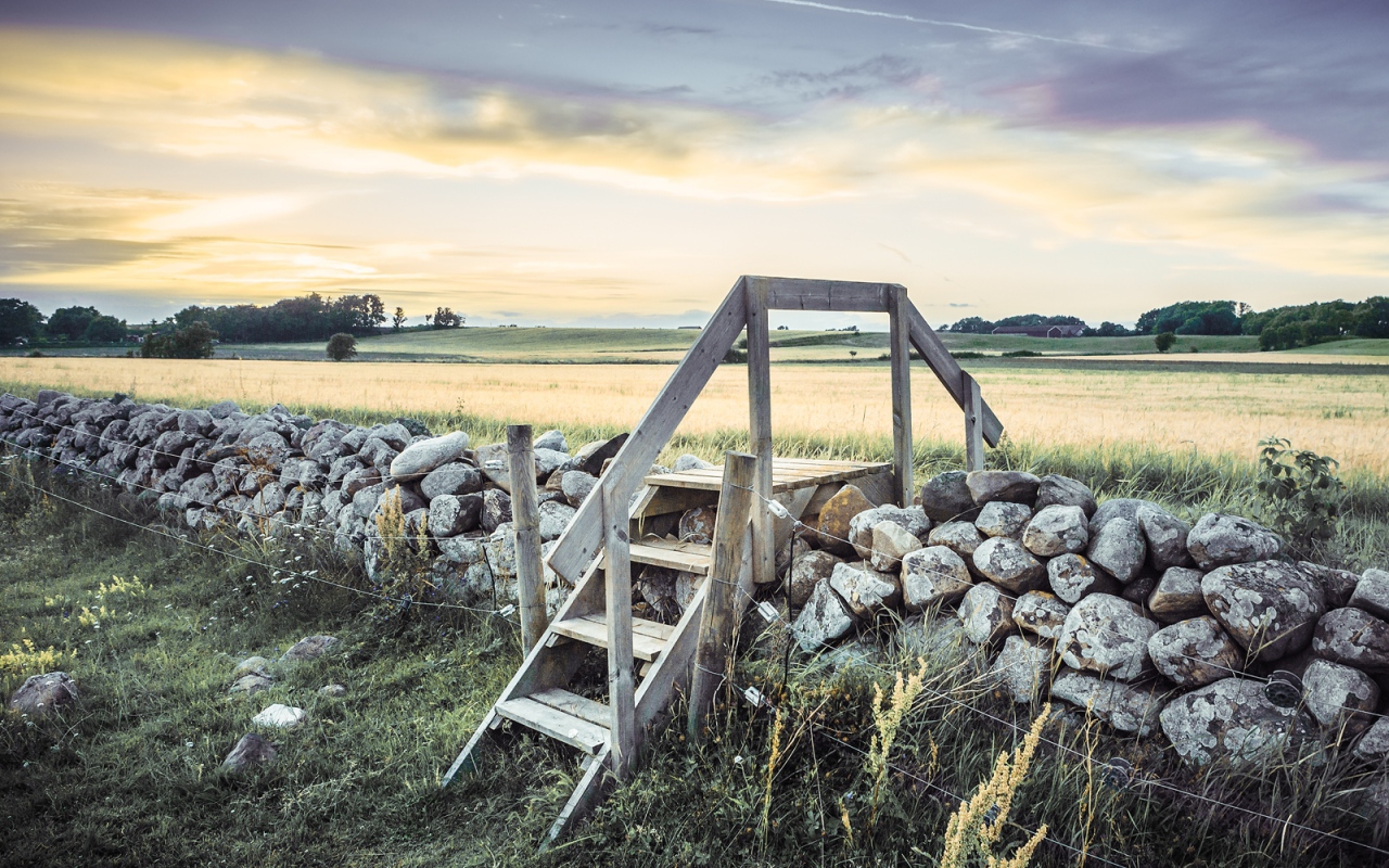 Лестница в поле