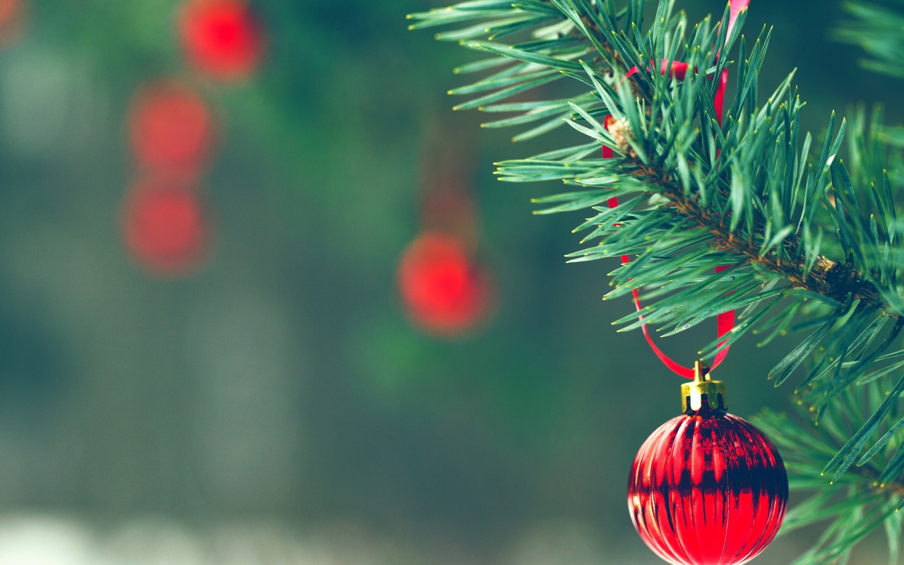 Красный шар на елке