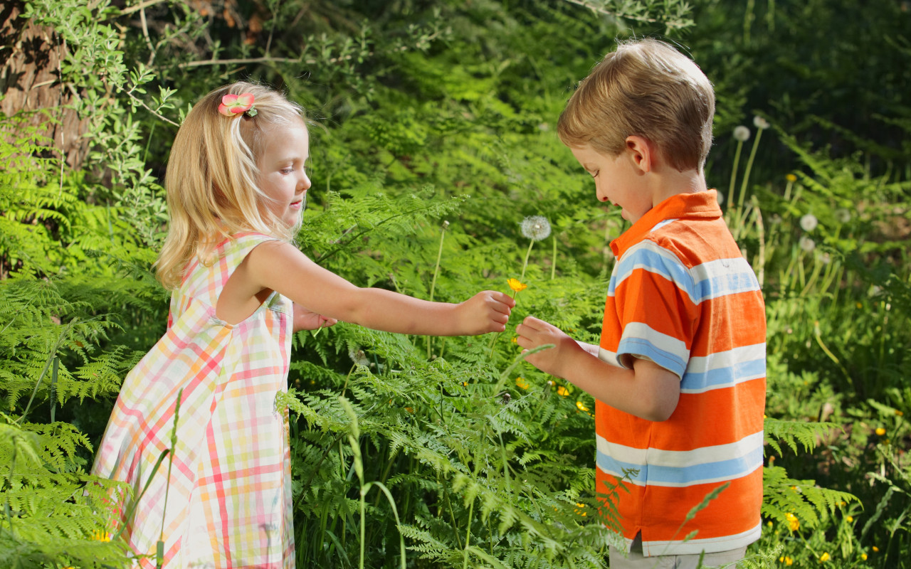 Детская романтика