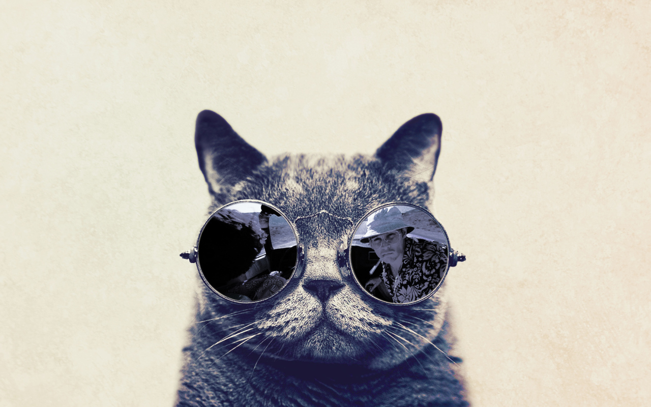 Кот в очках Страх в Вегасе