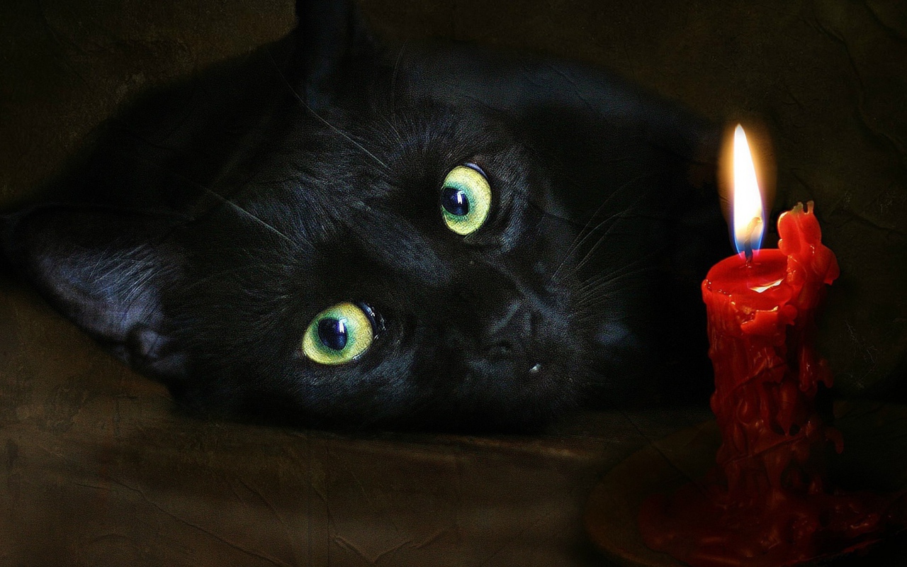 Черный кот и свеча