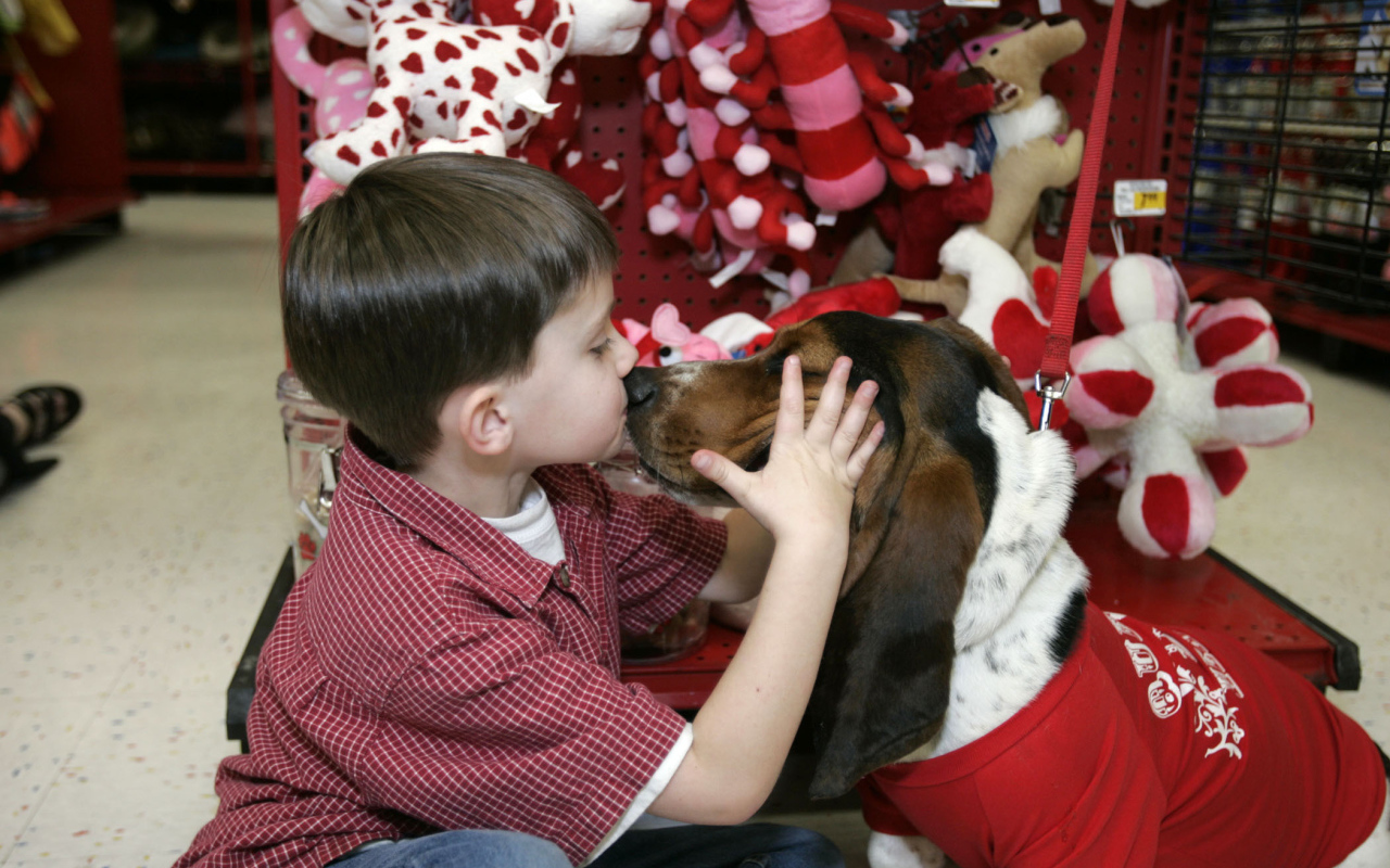 Бассет-хаунд и ребёнок