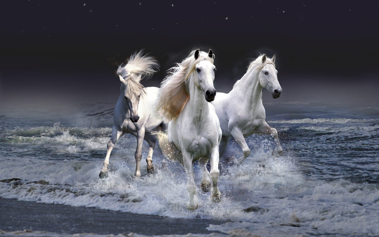 Тройка белых лошадей