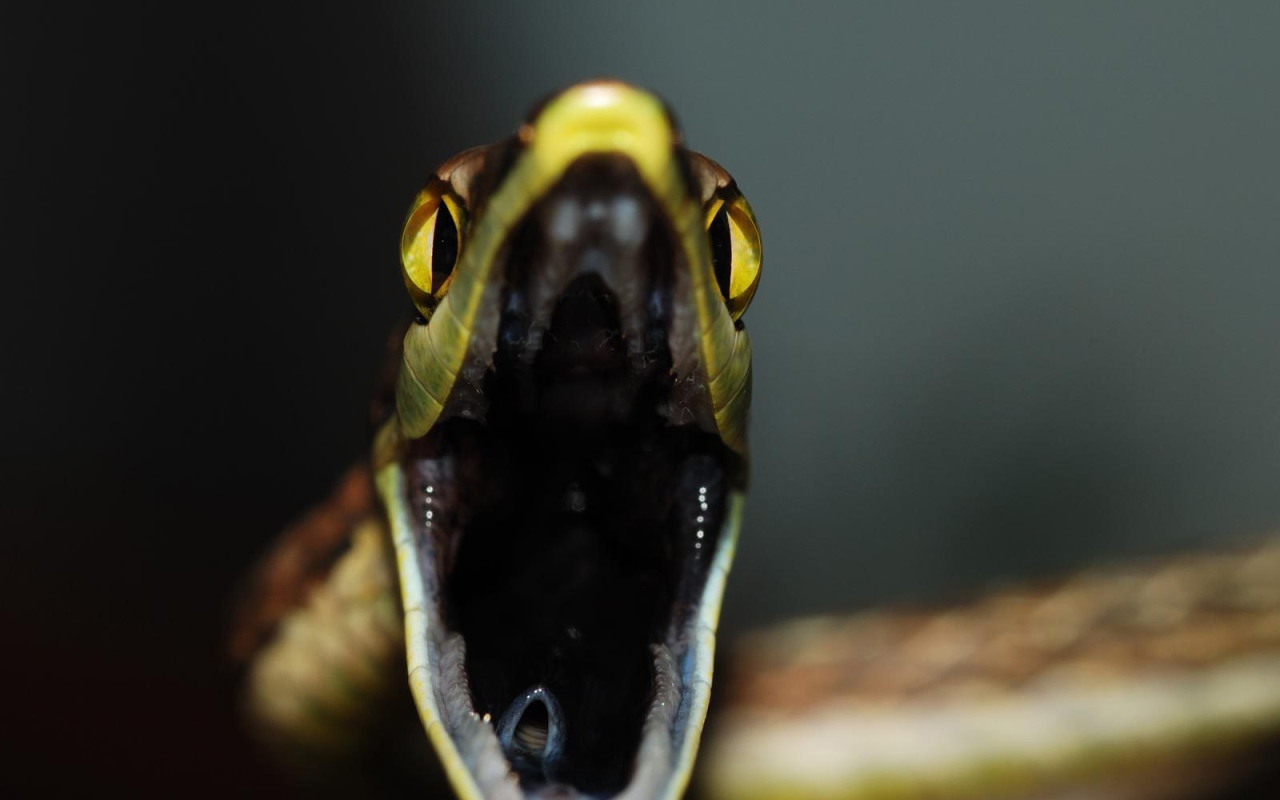 Змеиная пасть