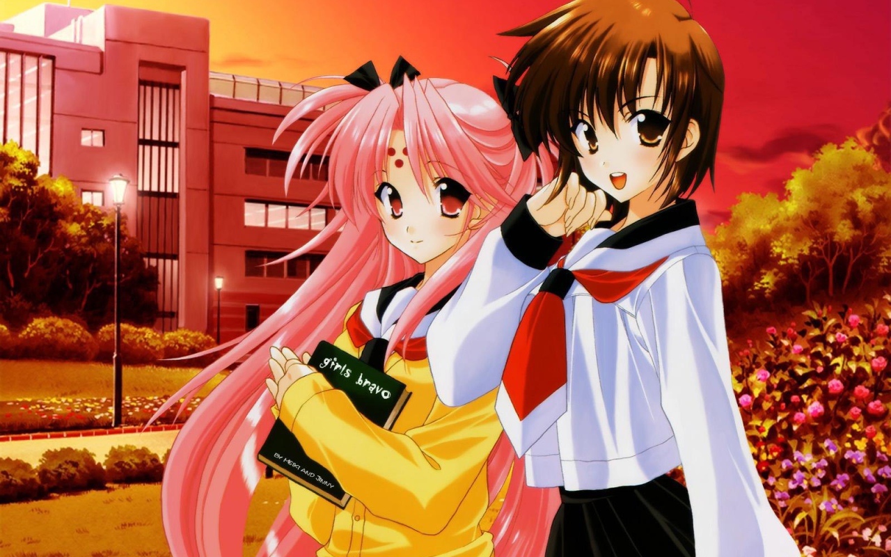 Браво девушки