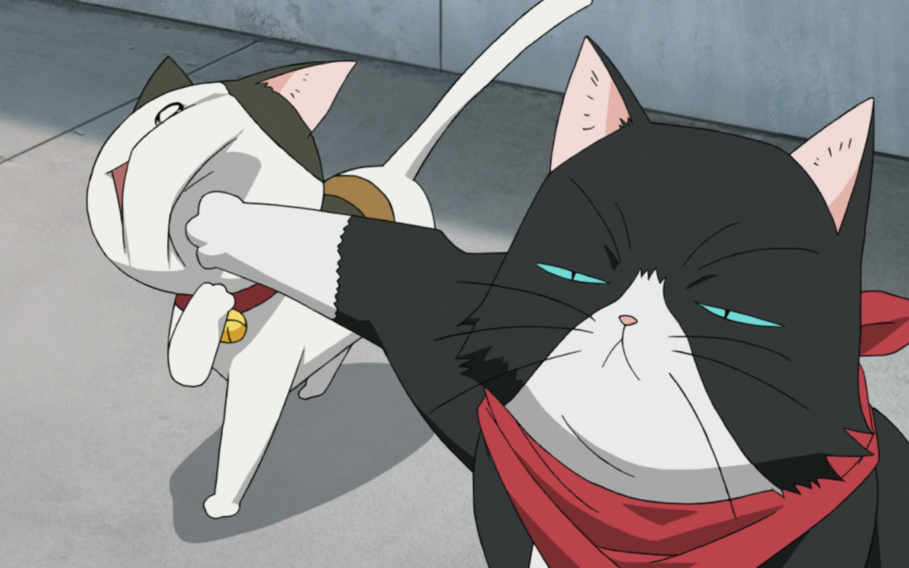 Кошачьи прихоти