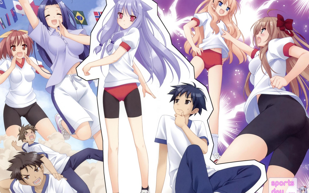 Нашествие бродячих кошек!