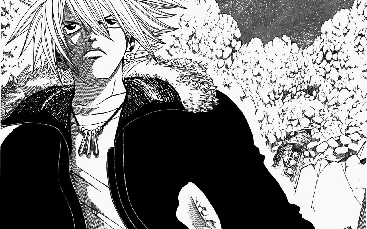 Рэйв Мастер