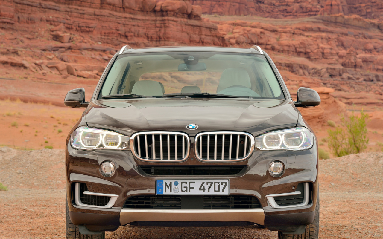 Коричневый BMW X4 кроссовер