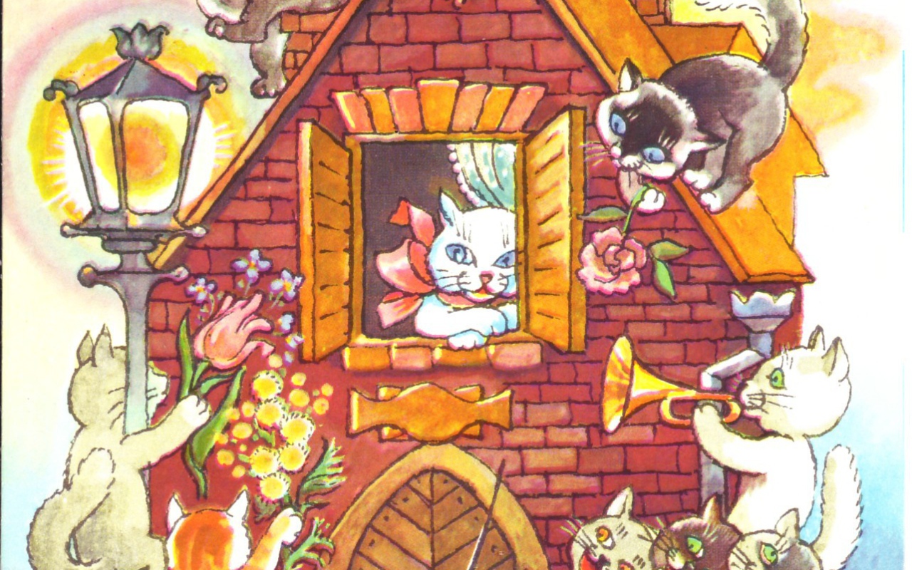 Домашние коты