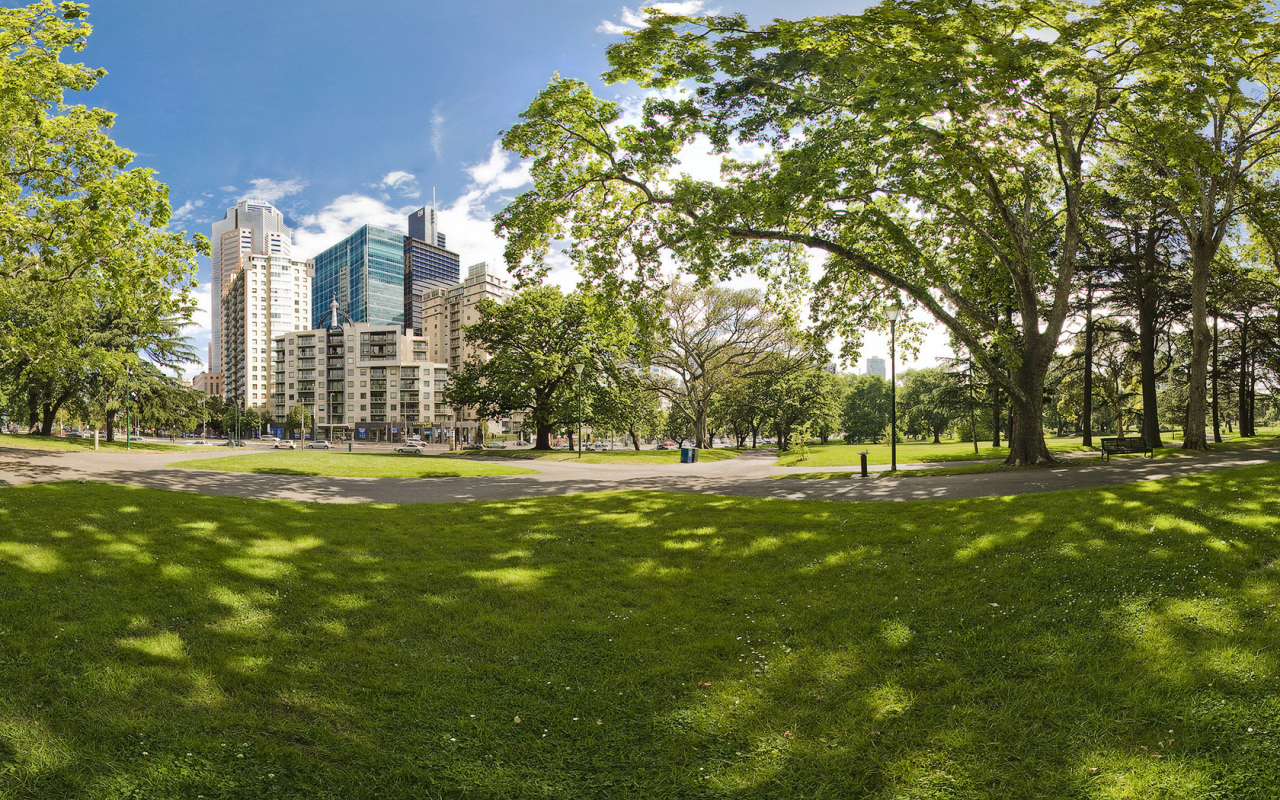 Городской парк летом