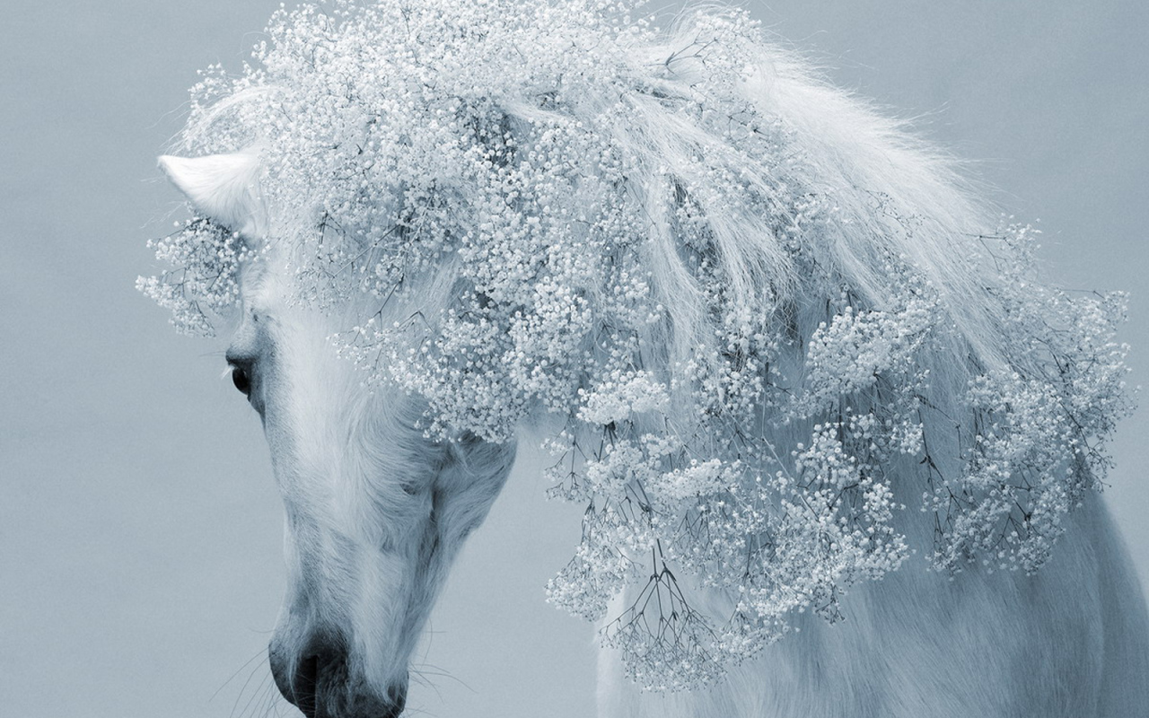 Зимняя лошадь