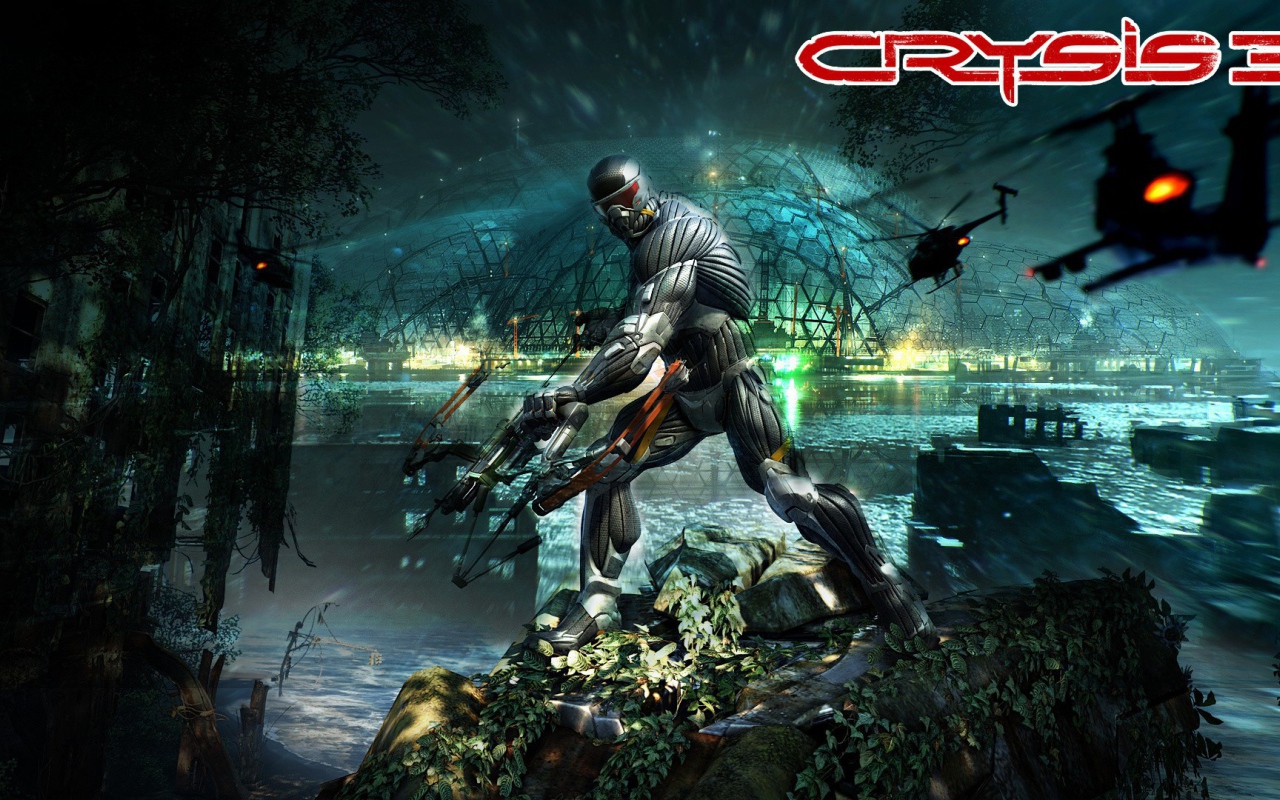 Картинка из игры Кризис 3