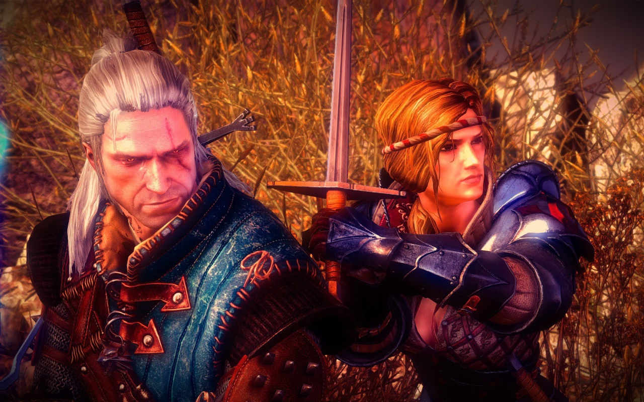 Видео игра Ведьмак 2