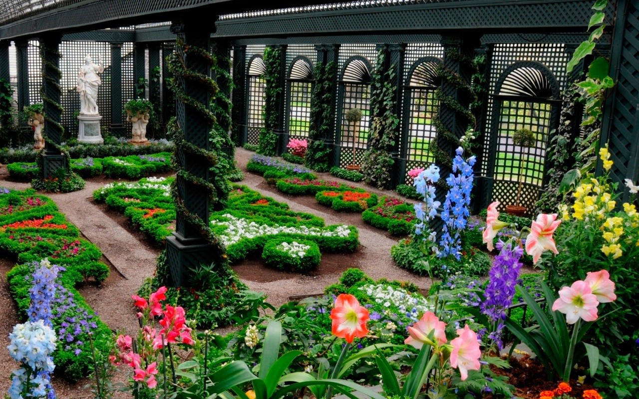 Зимний сад теплица