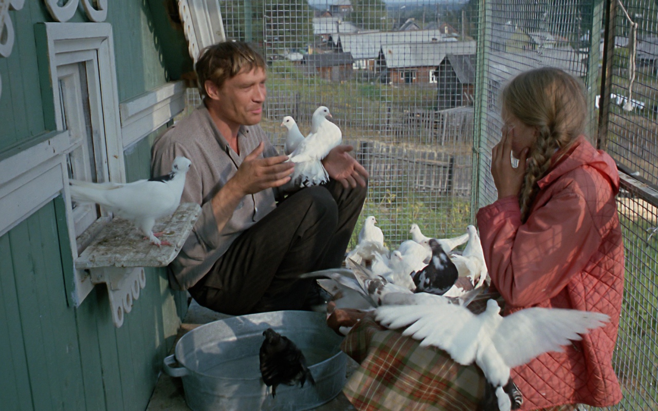Любовь и голуби