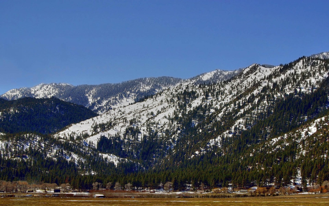 Горные защитники