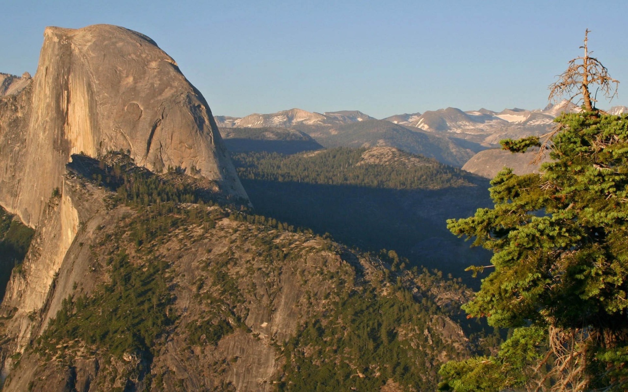 Горы и елка