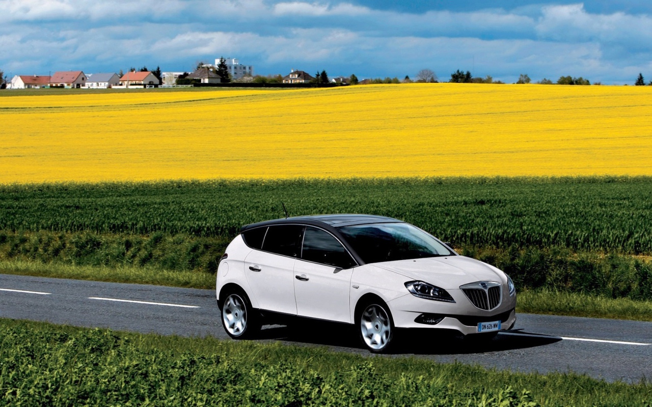 Автомобиль едет среди полей