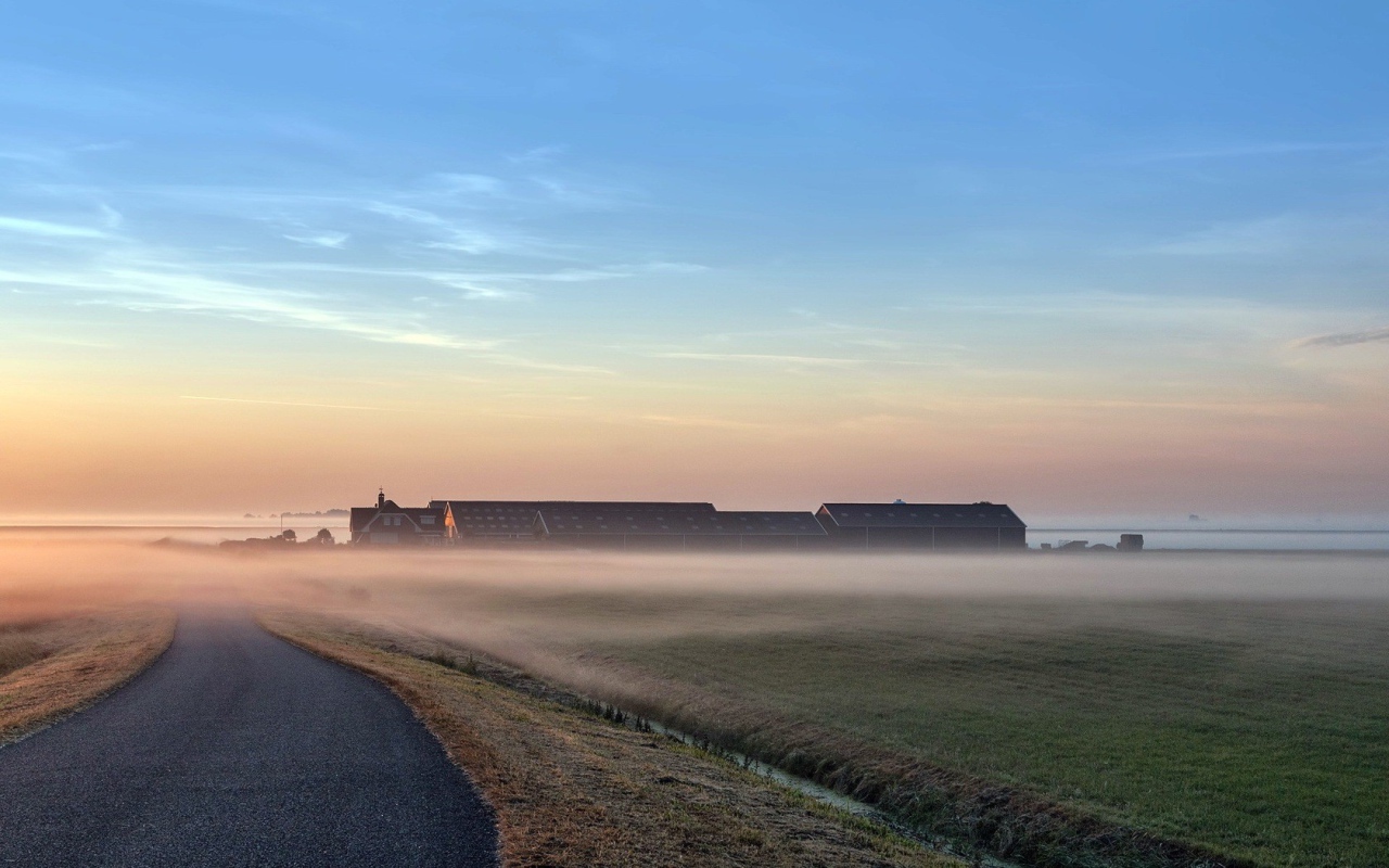 Раннее утро на поле