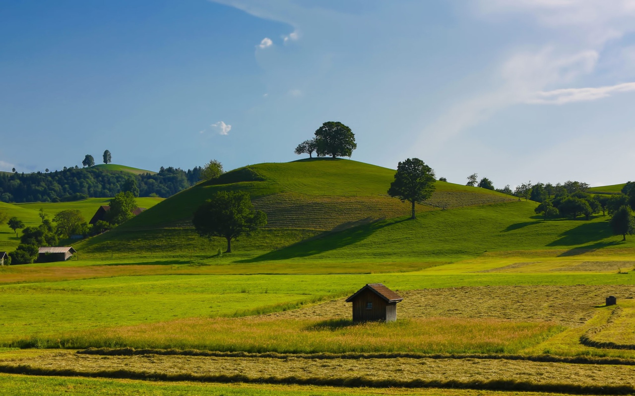 Урожайные поля