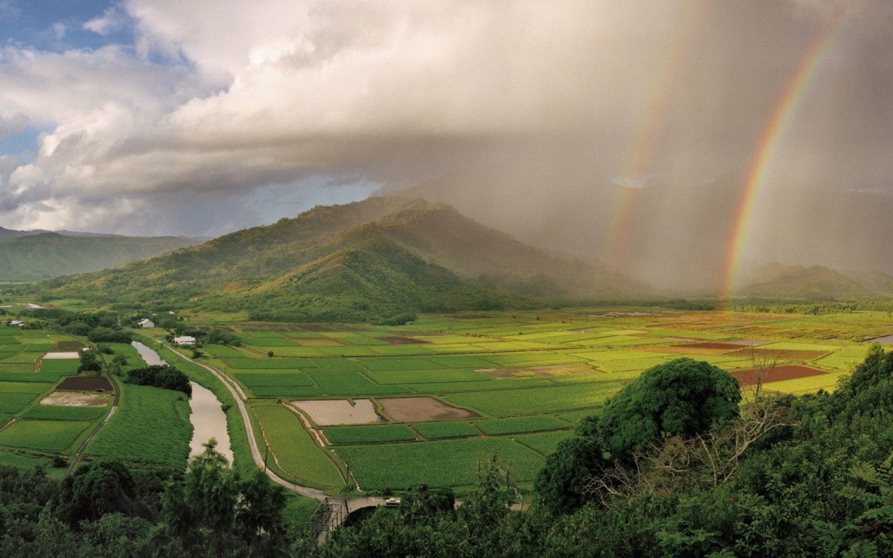 На Гавайях дождь