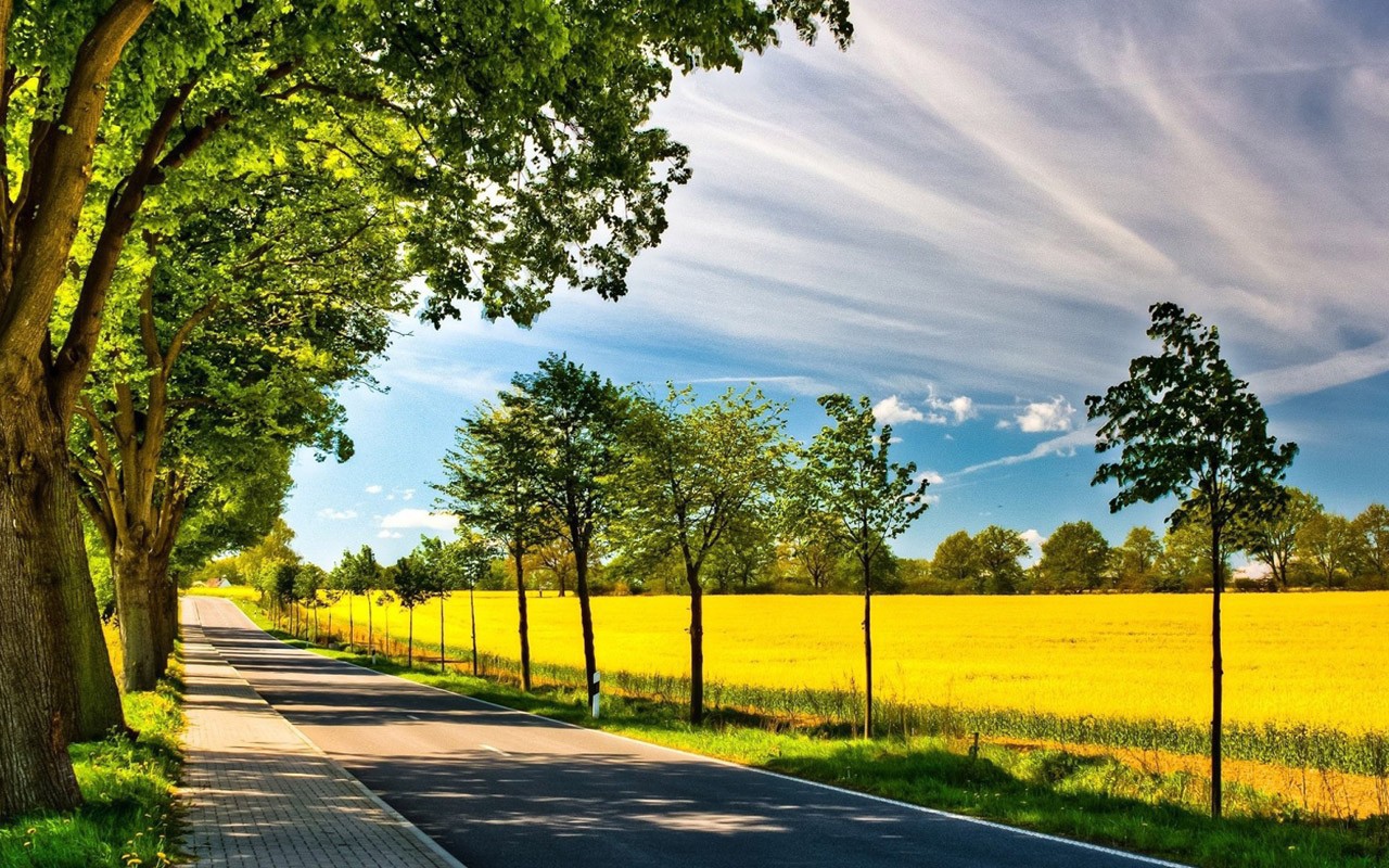 Старые и молодые деревья