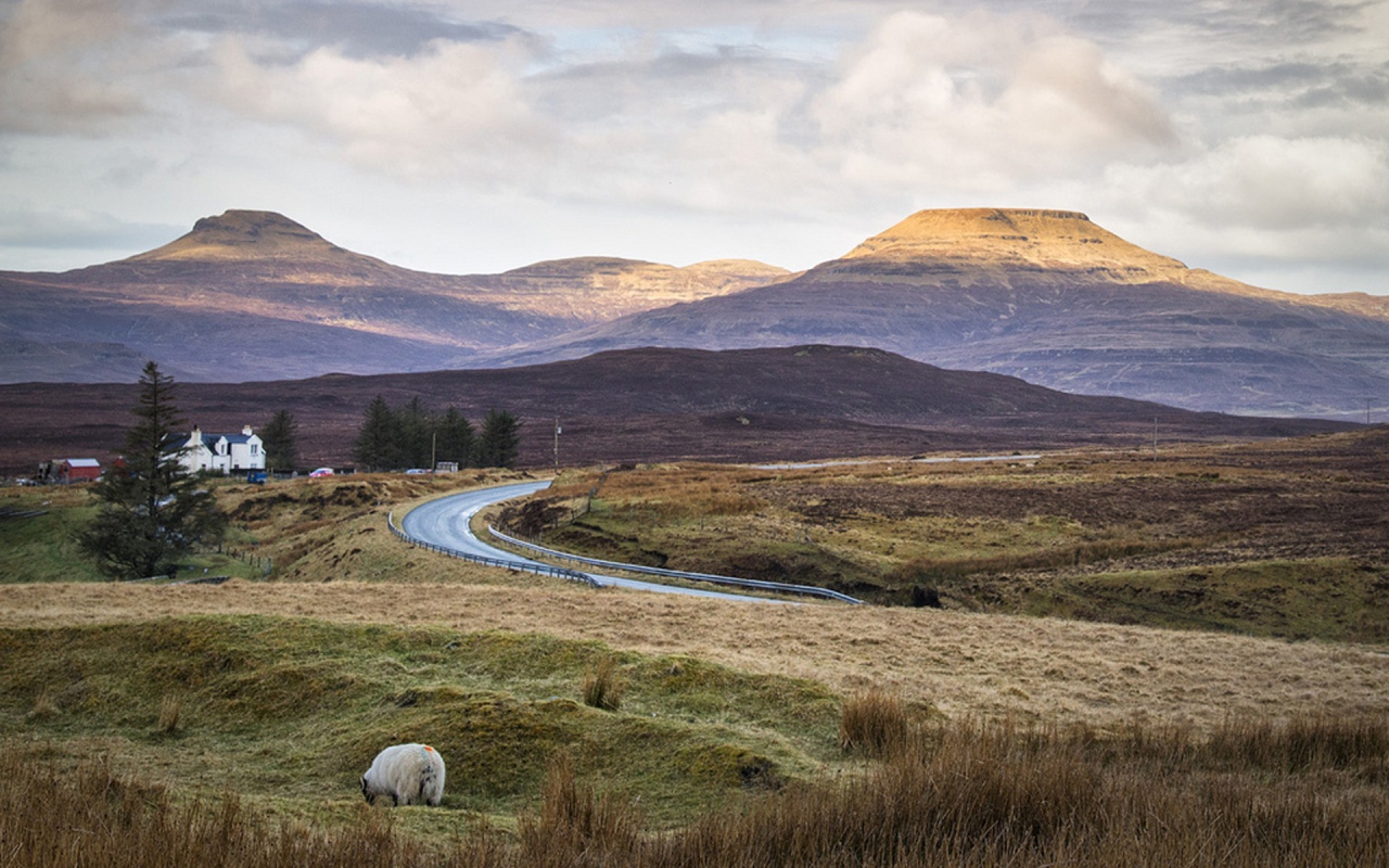 Дорога через поле в горы