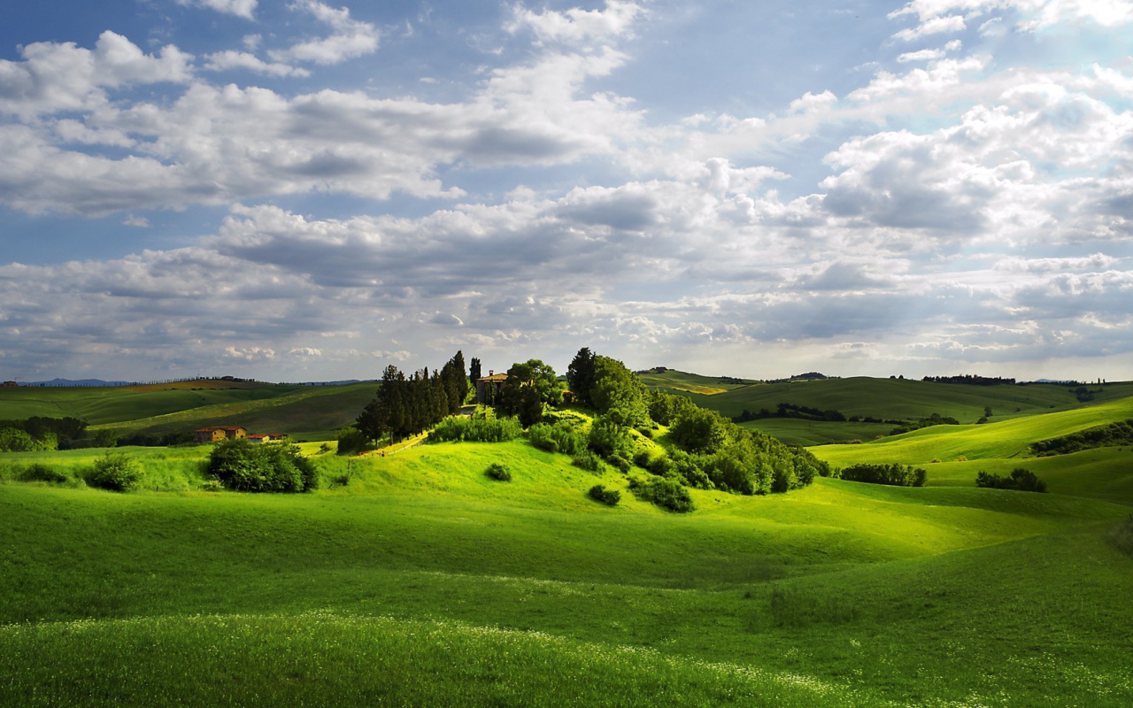 Изумрудно зеленые  холмы