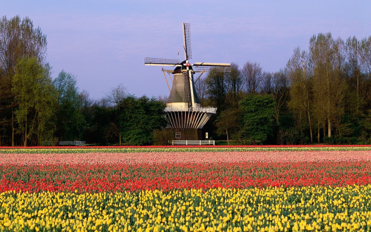 The Netherlands landscape