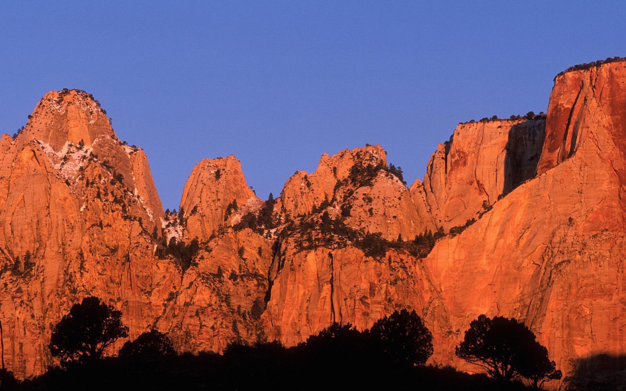 Красивый горный пейзаж с деревьями