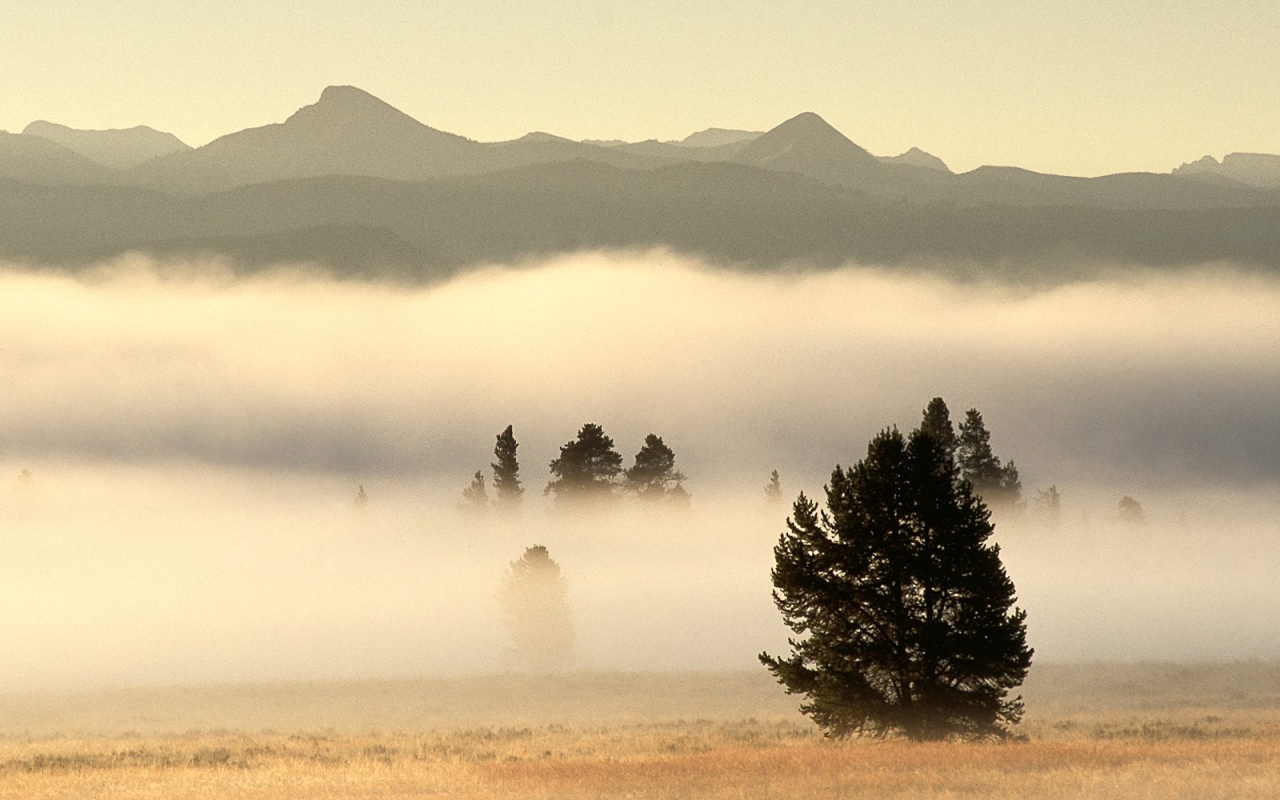 Туман на долине в горах