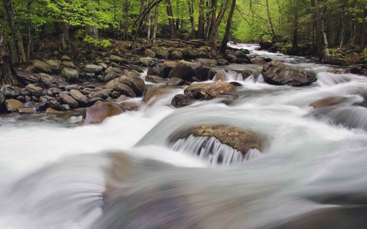 Национальный парк Теннессее