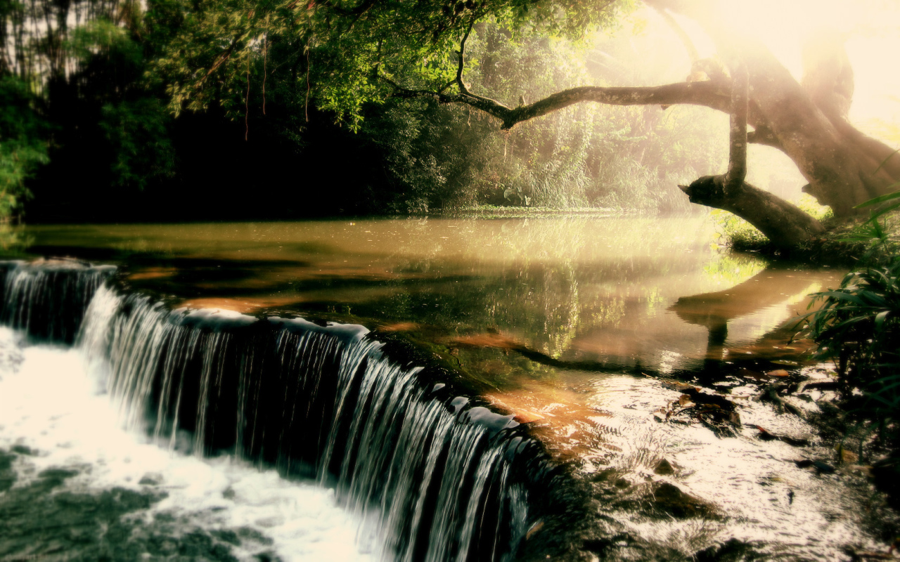 Заросшая река с водопадом
