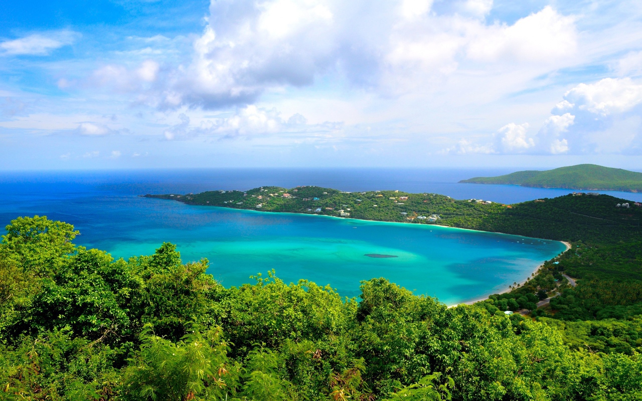 Зеленое побережье океана