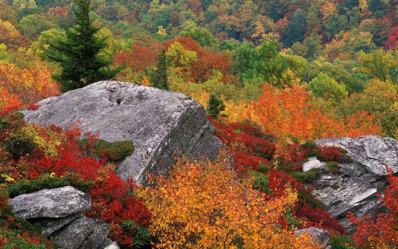 The beauty of autumn in the mountains