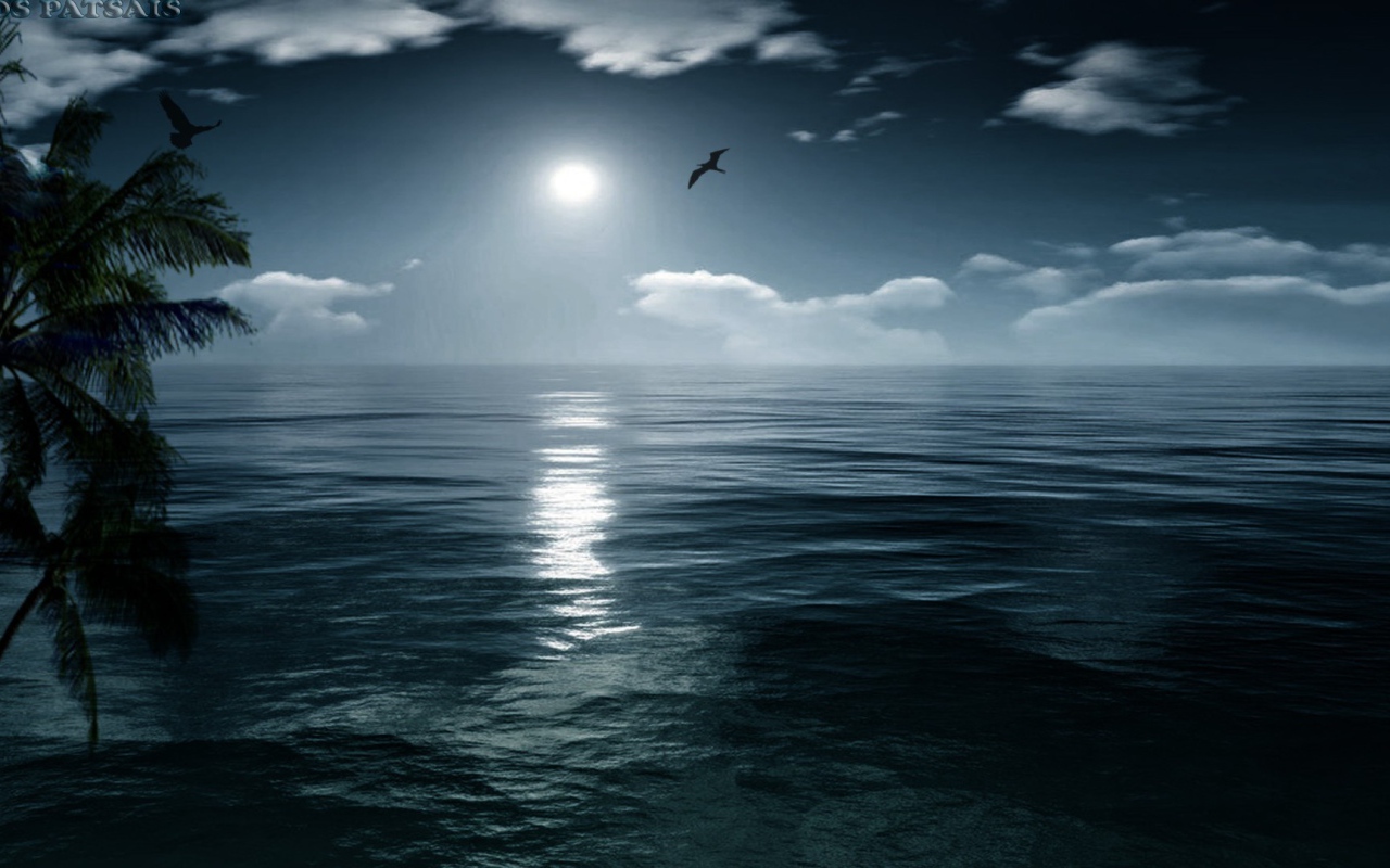 Птица летит на закате