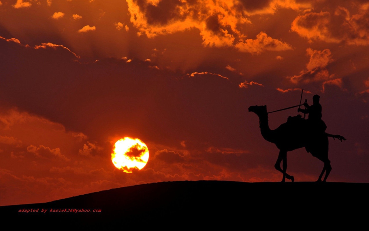 Наездник на верблюде