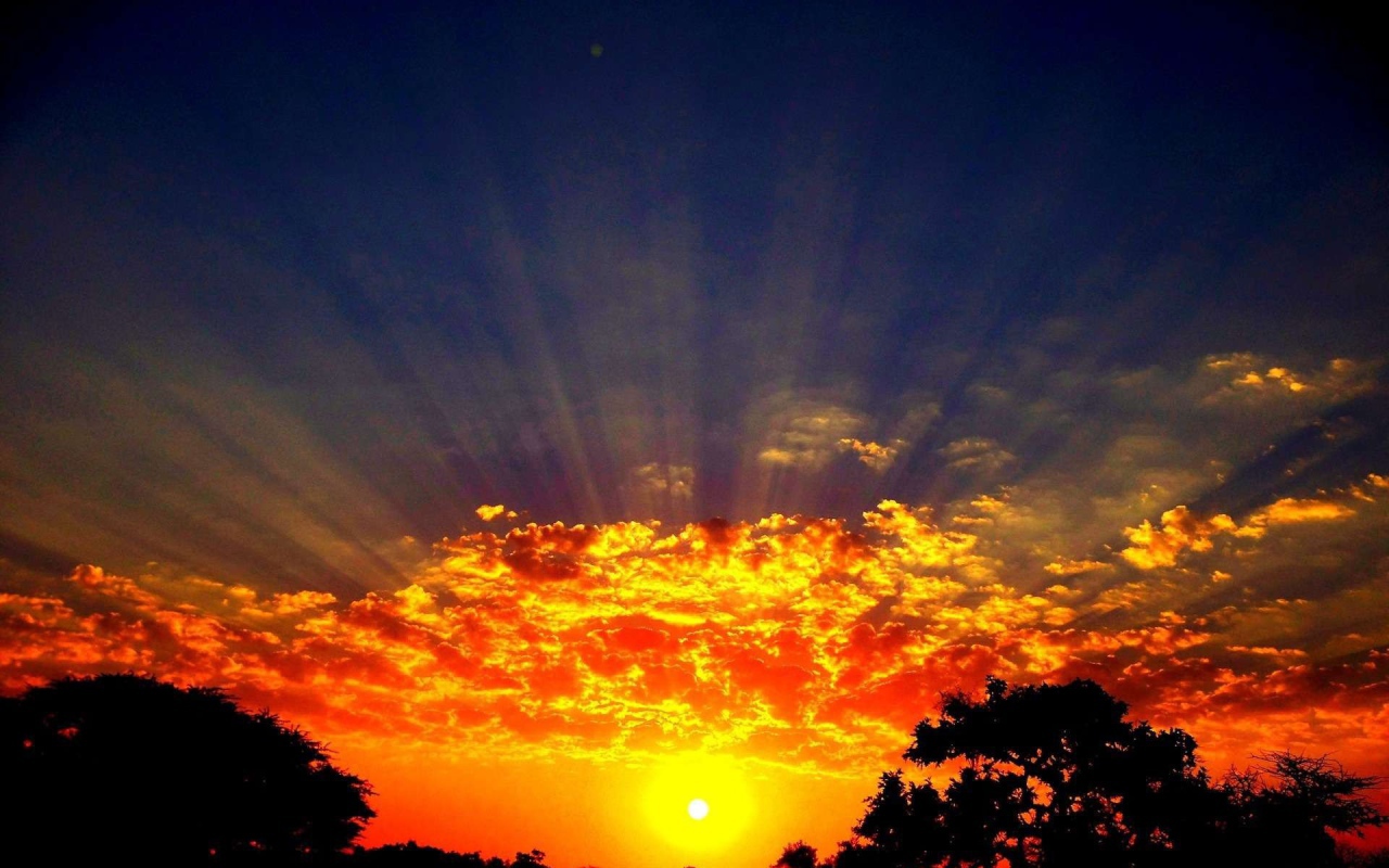 Лучи солнца