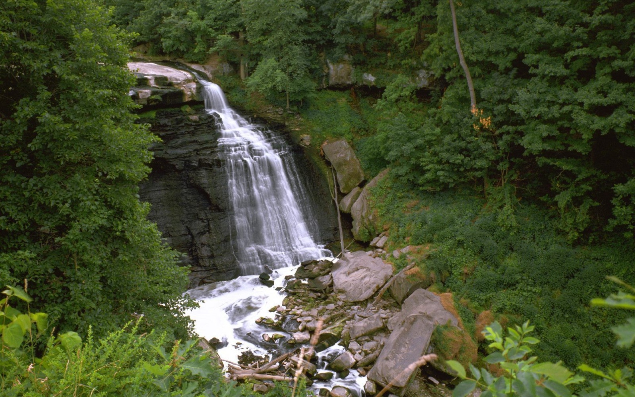 Пейзаж с растительностью