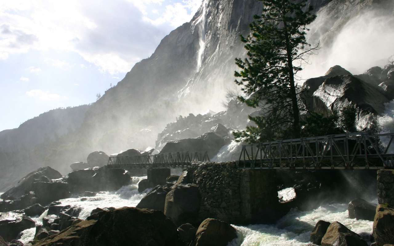 Одинокая сосна у водопада