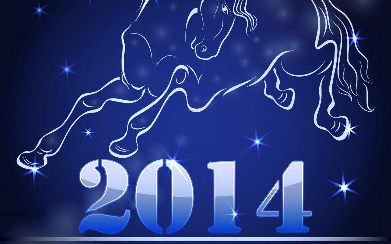 Встреча Нового 2014 Года