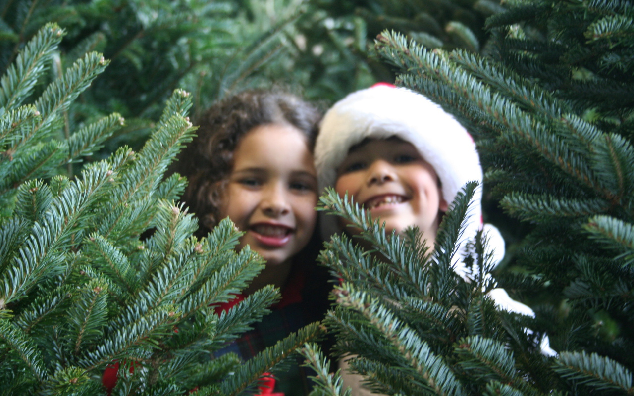 Дети у новогодней елки 2014