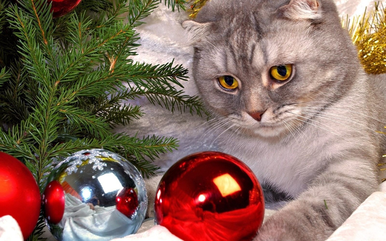 Eлочная игрушка кот