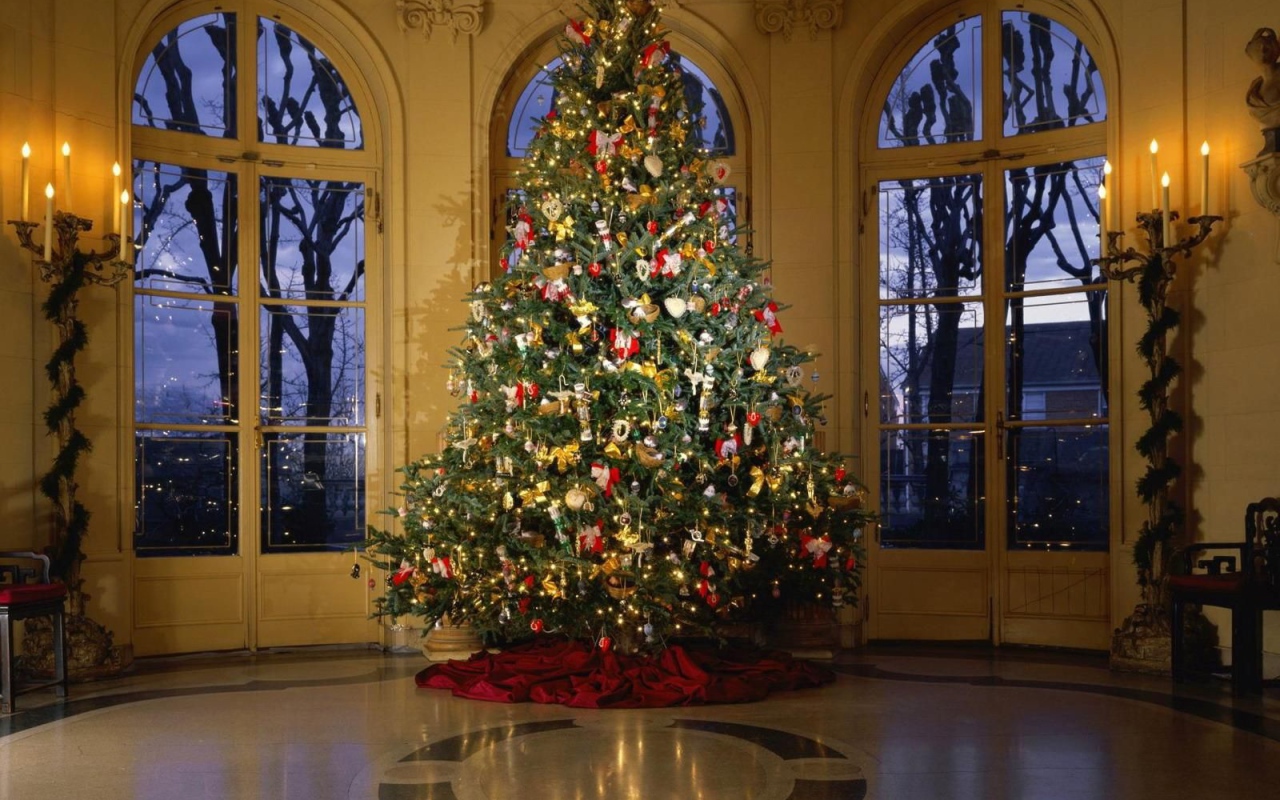 Новогодняя елка в кремле 2014