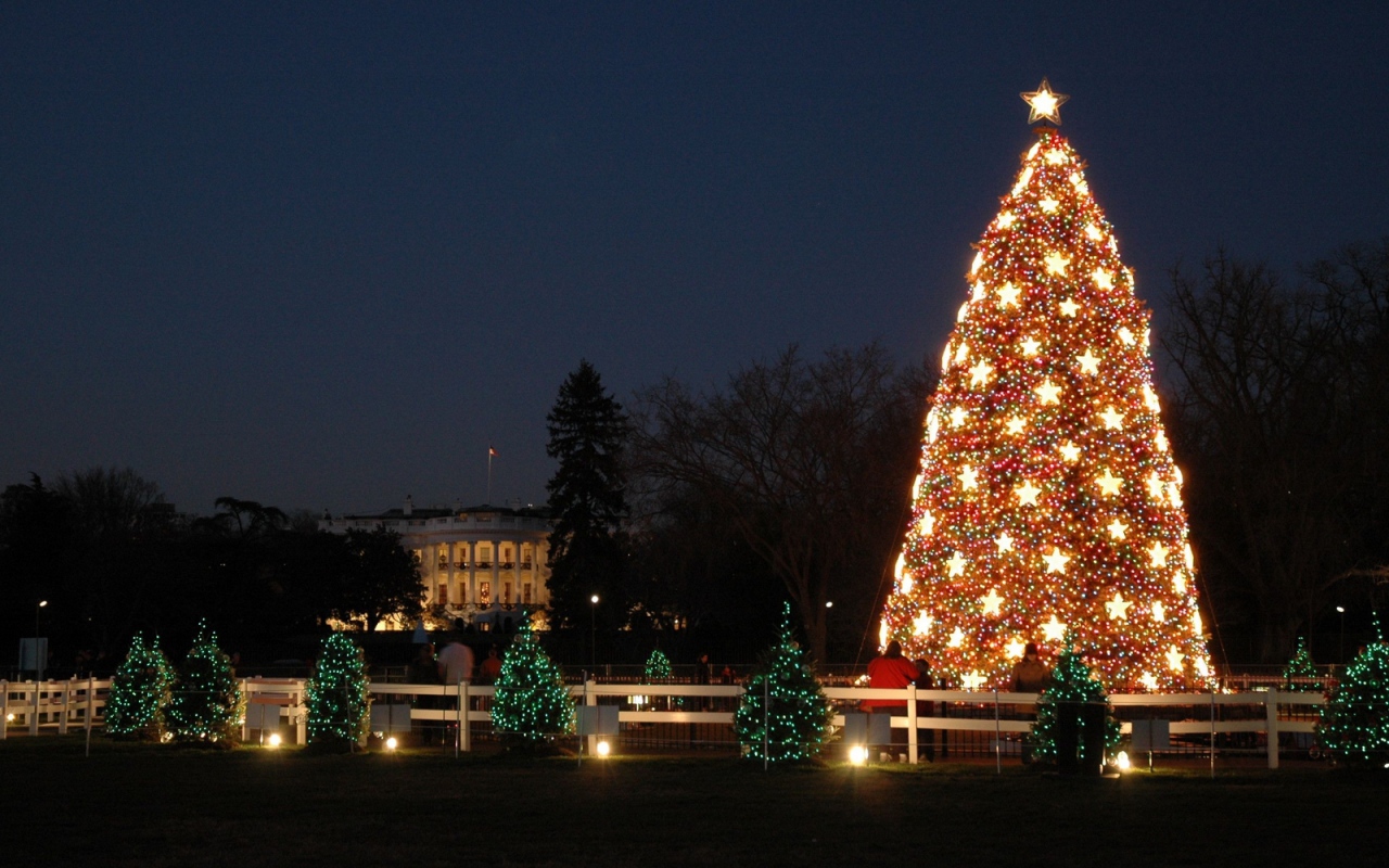 Национальная Новогодняя елка в год лошади 2014