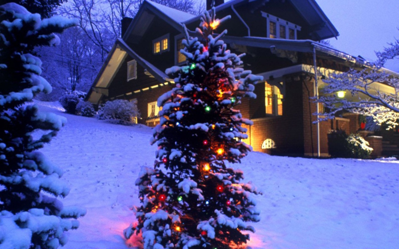 Новогодняя елка в зимнем лесу