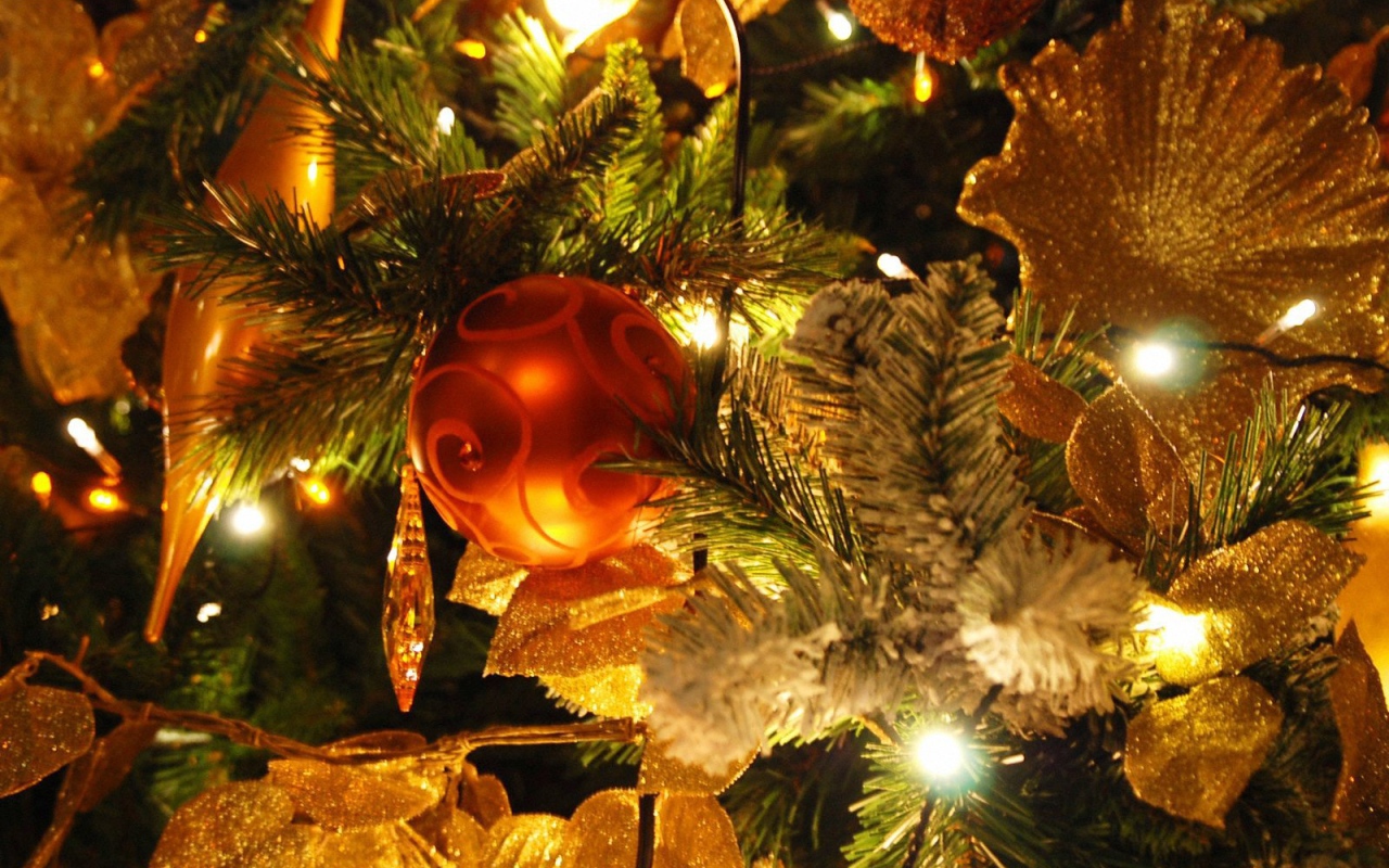 расивая Новогодняя елка с небольшой красный игрушкой